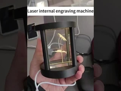 Máquina de gravação interna a laser 3D